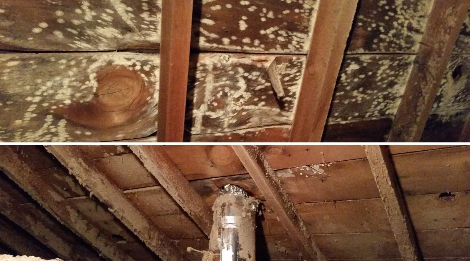 Before and After – A Homeowner’s Guide to Attic Mold Removal