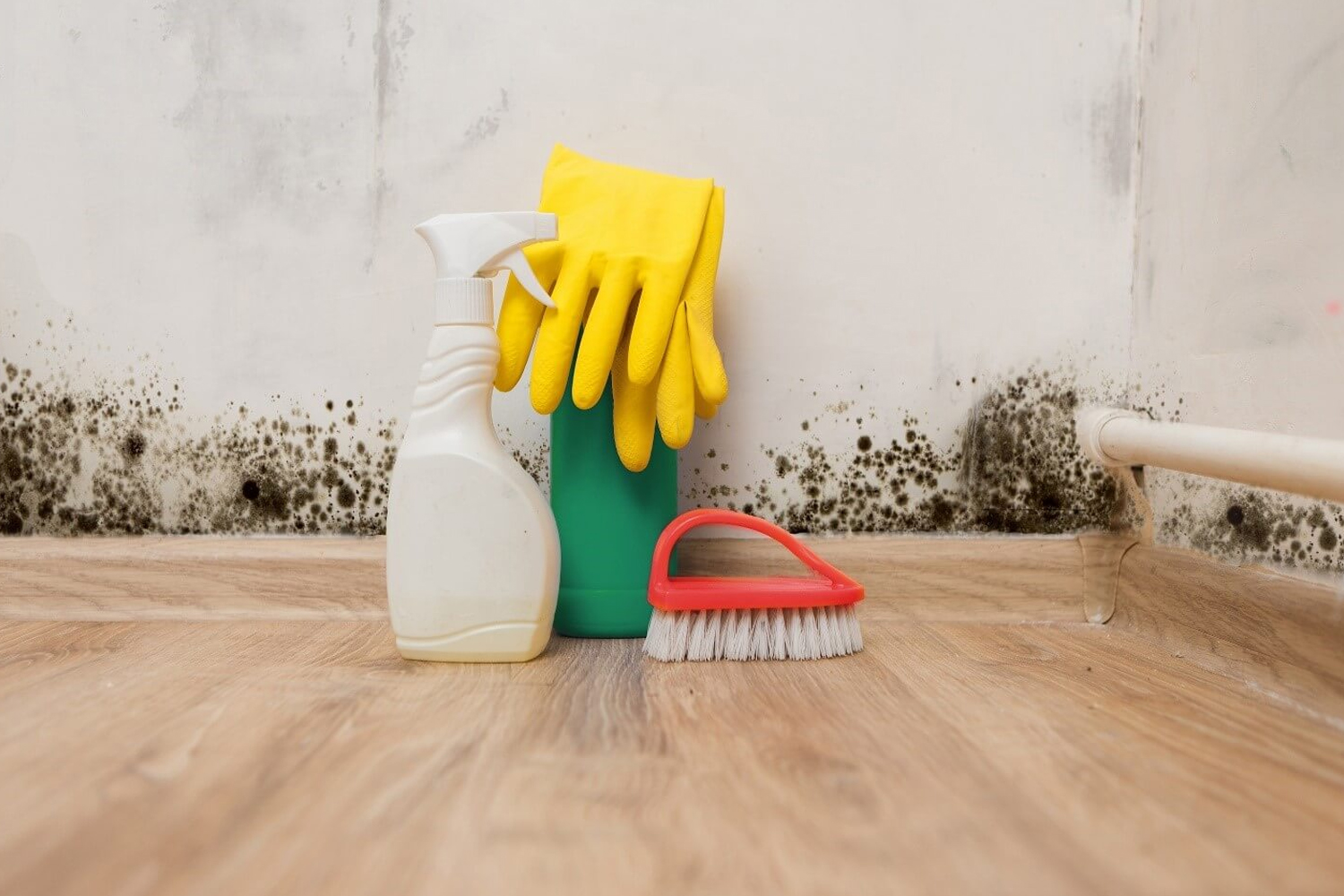Your Summer Cleaning Checklist to Prevent Mold Infestation