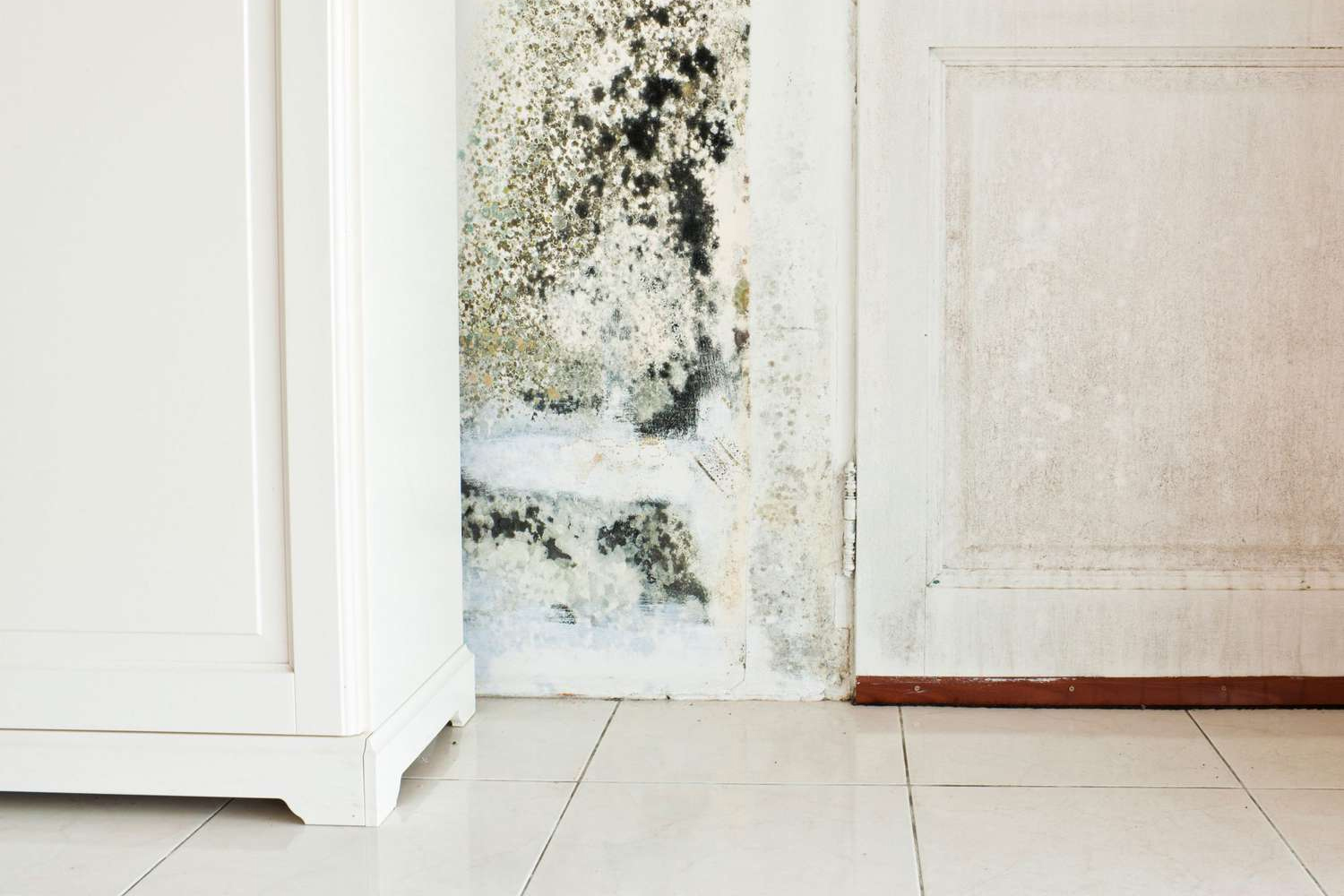 Top 5 Mold-Prone Areas in Homes You Should be Aware of